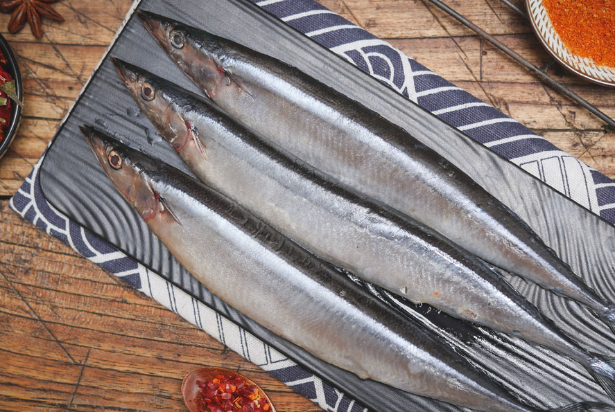 魚(yú)類(lèi)